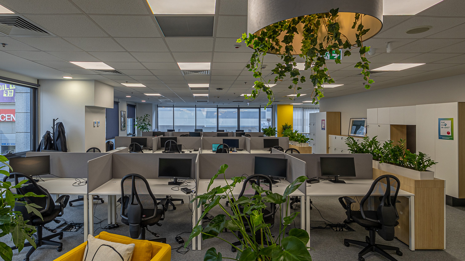 În zona de Open Office am utilizat scaune ergonomice și am delimitat fiecare birou pentru ca fiecare angajat să aibă spațiu personal. Am folosit plante de birou ce contribuie la buna dispoziție și productivitate.
